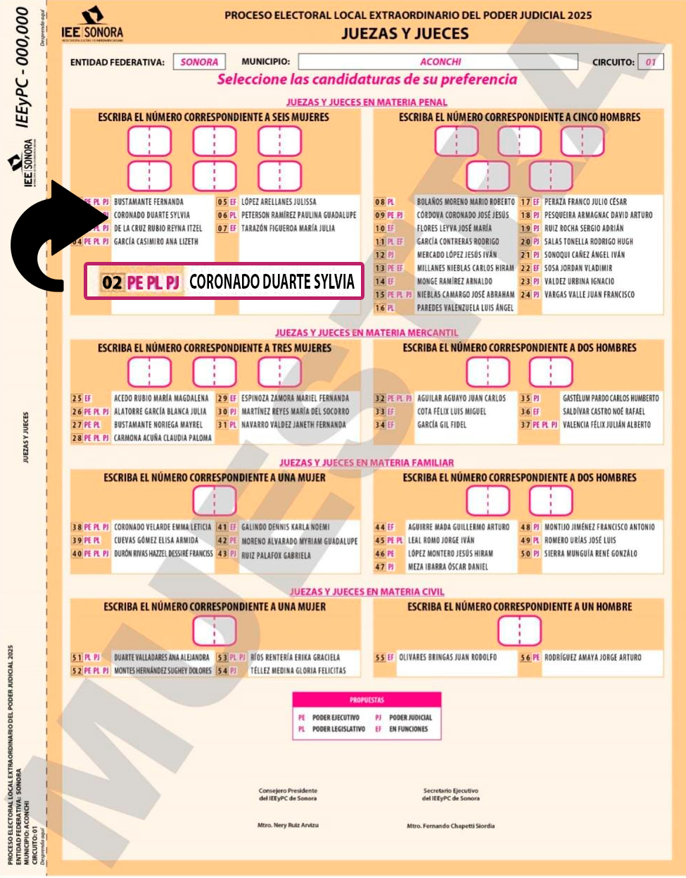 Ejemplo de Boleta Judicial